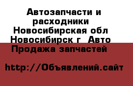Автозапчасти и расходники - Новосибирская обл., Новосибирск г. Авто » Продажа запчастей   